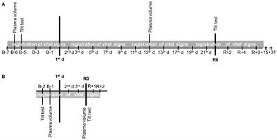 Cardiovascular System Under Simulated Weightlessness: Head-Down Bed Rest vs. Dry Immersion